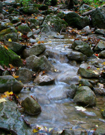 Boulder Brook in Baltimore Woods